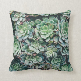 Almofada Travesseiro decorativo do Succulent |