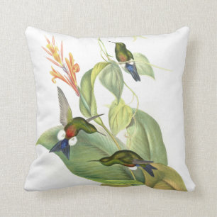 Almofada Travesseiro decorativo dos colibris de Goulds