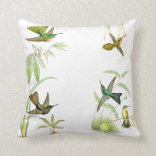 Almofada Travesseiro decorativo dos colibris de Goulds