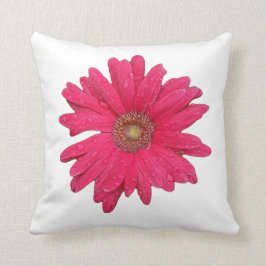Almofada Travesseiro decorativo Gerber Daisy