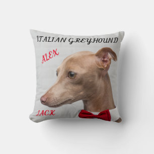 ALMOFADA TRAVESSEIRO DECORATIVO GREYHOUND ITALIANO COM NOME