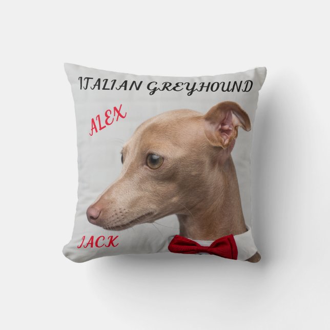 ALMOFADA TRAVESSEIRO DECORATIVO GREYHOUND ITALIANO COM NOME (Frente)