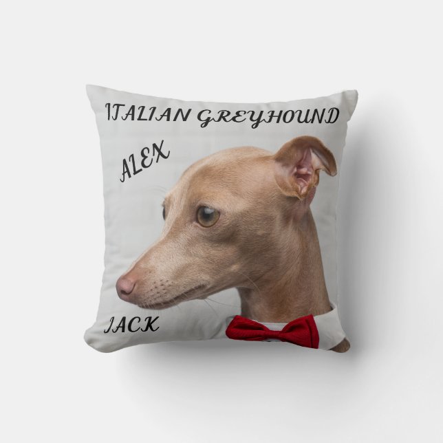 ALMOFADA TRAVESSEIRO DECORATIVO GREYHOUND ITALIANO COM NOME (Frente)