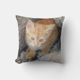 Almofada Travesseiro decorativo Innocent Kitten