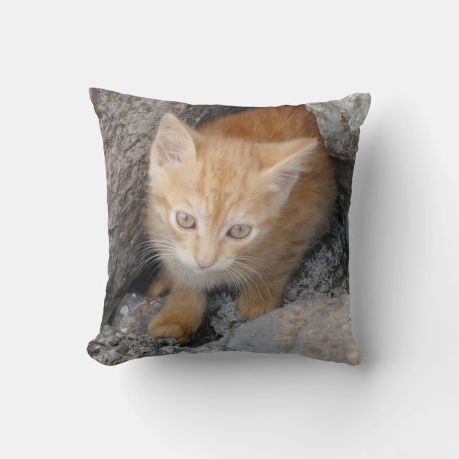 Almofada Travesseiro decorativo Innocent Kitten (Frente)