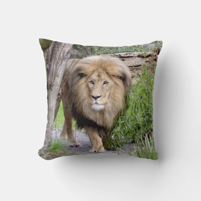Almofada Travesseiro decorativo Lion Photo (Frente)