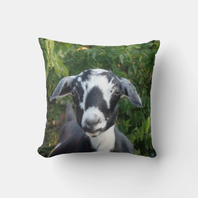 Almofada Travesseiro decorativo Mini Nubian Dairy Goat (Frente)