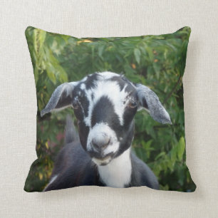 Almofada Travesseiro decorativo Mini Nubian Dairy Goat