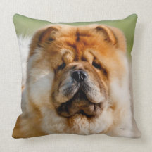 Travesseiro decorativo Mojo Chow