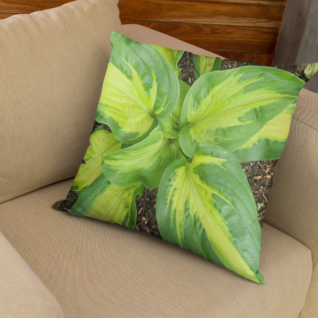 Almofada Travesseiro decorativo Monograma de Hosta Verde Vi (Hosta Leaves Throw Pillow)