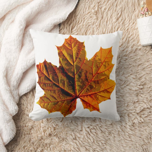 Almofada Travesseiro decorativo para cada sala (Cobertor)