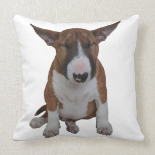 Almofada Travesseiro decorativo pequeno sonolento de bull