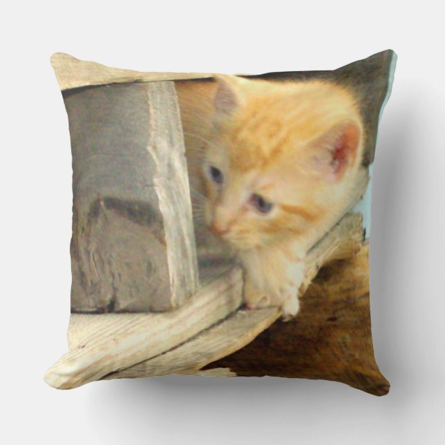 Almofada Travesseiro decorativo Quadrado do Cats 1 (Frente)