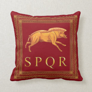 Almofada Travesseiro decorativo romano do varrão