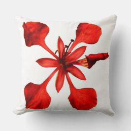 Almofada Travesseiro decorativo Royal Poinciana Flower