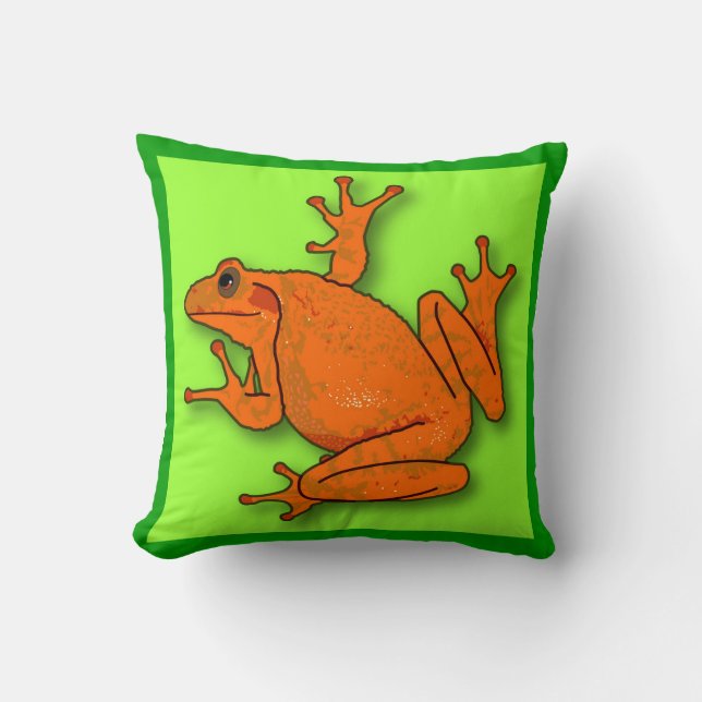 Almofada Travesseiro decorativo Sapo laranja (Frente)