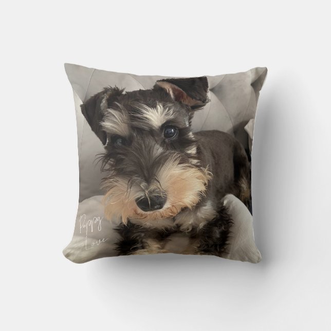 Almofada Travesseiro Decorativo Schnauzer (Frente)