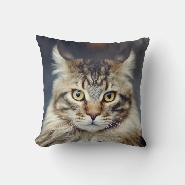Almofada Travesseiro decorativo Tabby Cat (Frente)