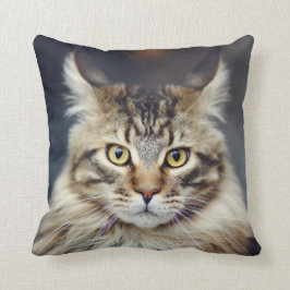 Almofada Travesseiro decorativo Tabby Cat