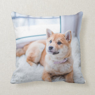 Almofada Travesseiro decorativo, Travesseiro decorativo 16"