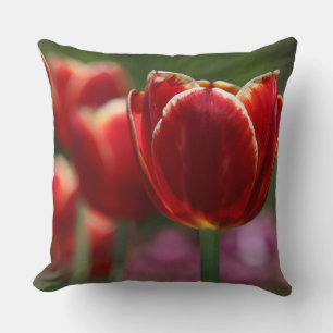 Almofada Travesseiro decorativo Tulip