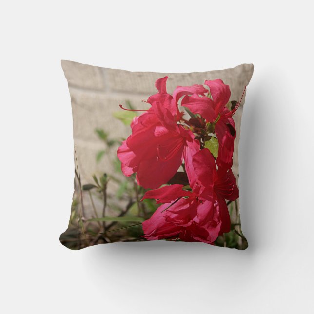 Almofada Travesseiro decorativo vermelho das flores do (Frente)