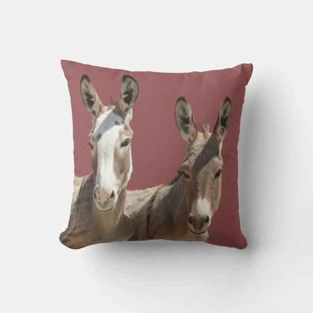 Almofada Travesseiro decorativo, vida selvagem, burros, Oat (Frente)