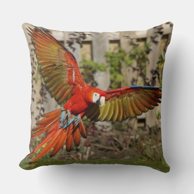 Almofada Travesseiro decorativo Voador Red Macaw (Frente)