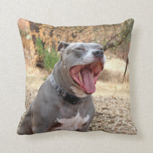 Almofada Travesseiro do bocejo da manhã de Pitbull