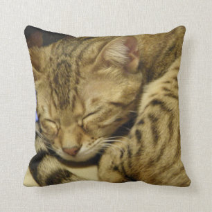 Almofada Travesseiro do gato de Bengal