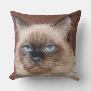 Almofada Travesseiro do gato Siamese