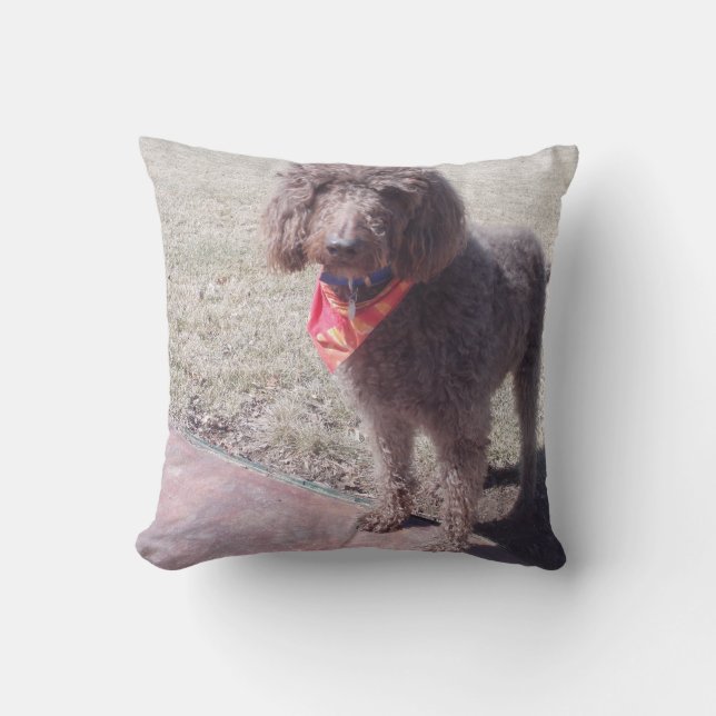 Almofada travesseiro do labradoodle (Frente)
