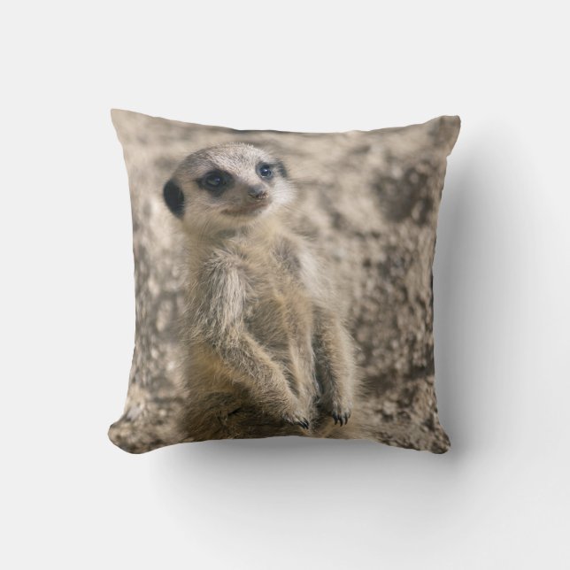 Almofada Travesseiro do Sentinela-em-Treinamento (Frente)