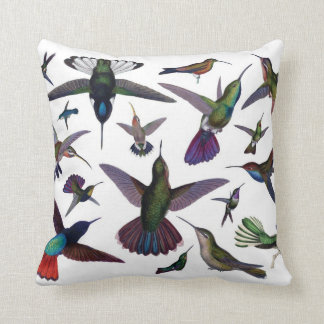 Almofada Travesseiro dos colibris