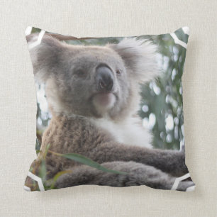 Almofada Travesseiro dos fatos do urso de Koala