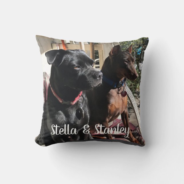 Almofada Travesseiro dos nomes de animal de estimação que (Frente)