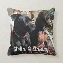 Travesseiro dos nomes de animal de estimação que