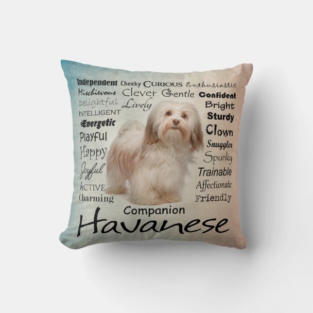 Almofada Travesseiro dos traços de Havanese (Frente)