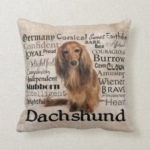 Almofada Travesseiro dos traços do Dachshund