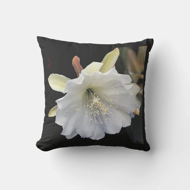 Almofada Travesseiro exterior 16 x 16 (Frente)