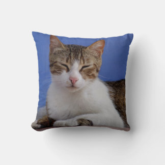 Almofada Travesseiro Grego de Gato