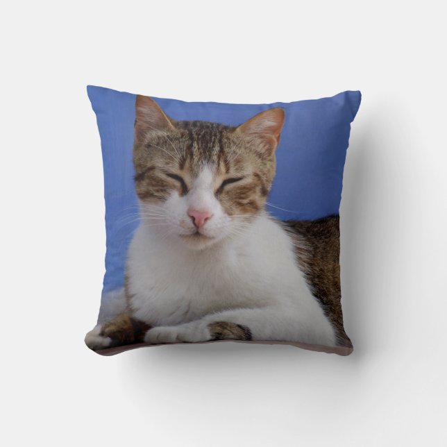 Almofada Travesseiro Grego de Gato (Frente)