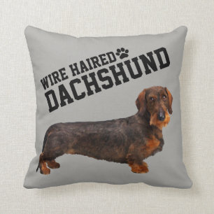 Almofada Travesseiro ilustrado do fio Dachshund de cabelo