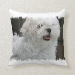 Almofada Travesseiro maltês branco do filhote de cachorro