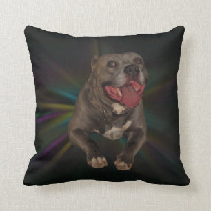 Almofada Travesseiro Pitbull
