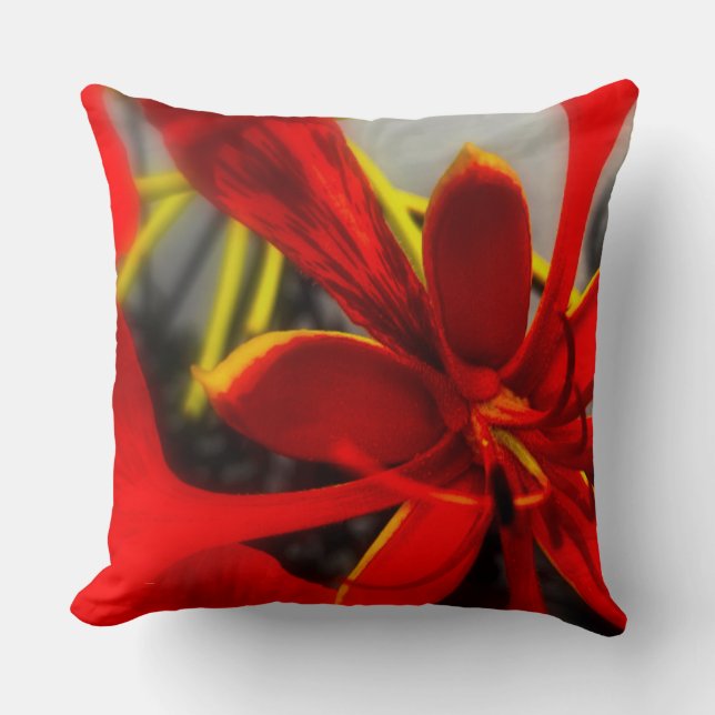 Almofada Travesseiro Royal Poinciana Flower (Frente)