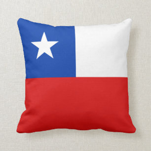 Almofada Travesseiro Sinalizador x Sinalizador do Chile