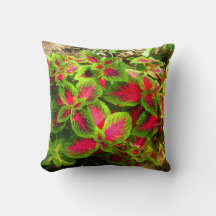 Travesseiro tropical cola verde-rosa