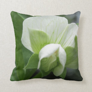 Almofada Travesseiro Verde e Branco ~ Foto original de alta
