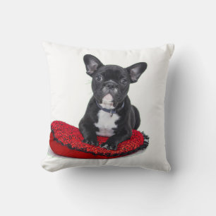 Almofada travesseiro vermelho de buldogue francês